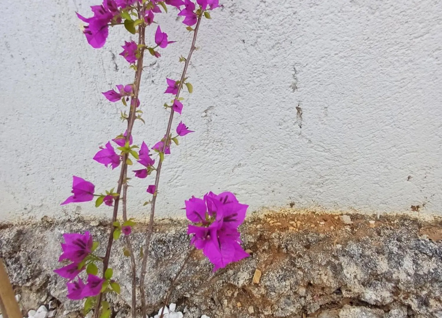 Richmond Villa Greece Pórosz Görögország